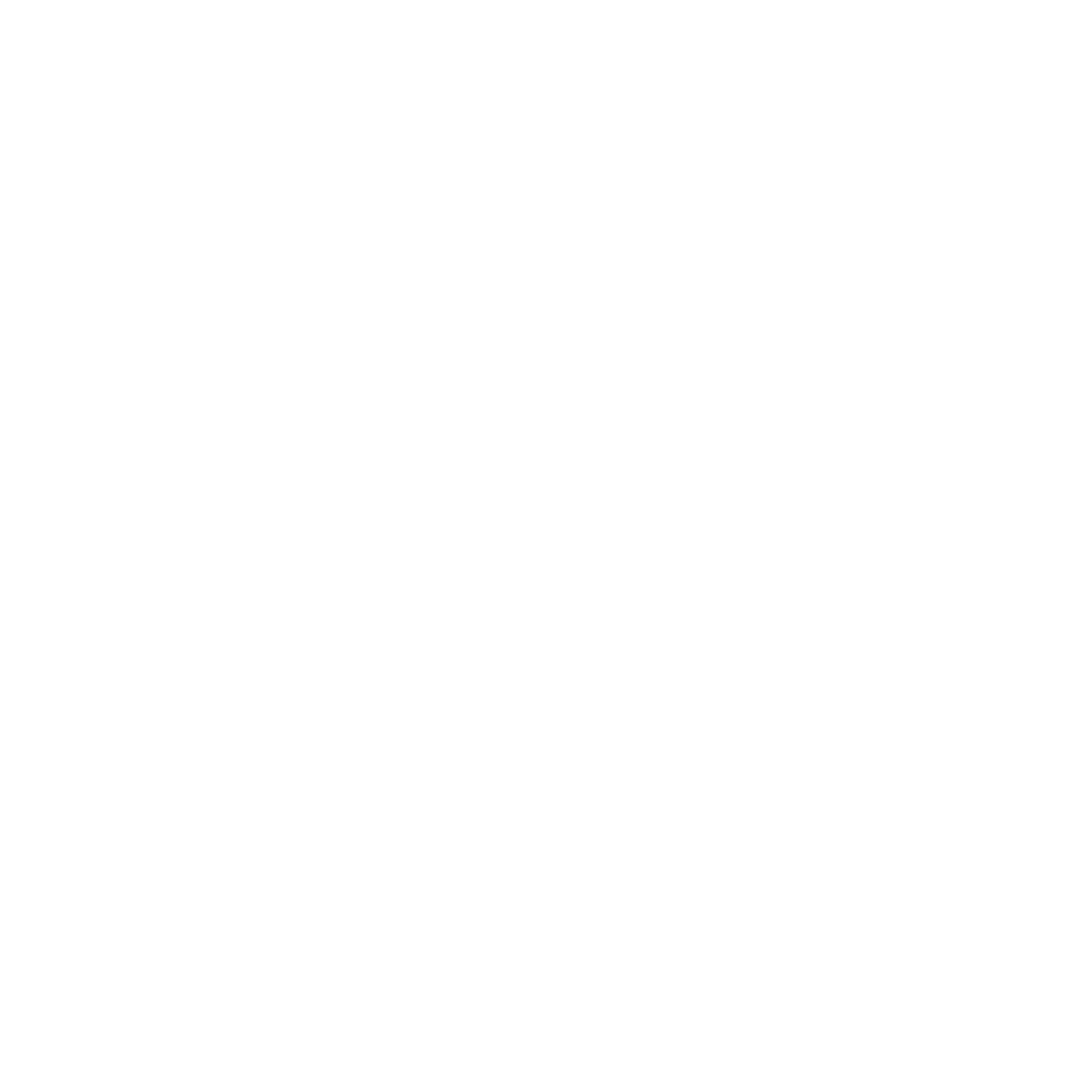 Developer Partner Logo 11