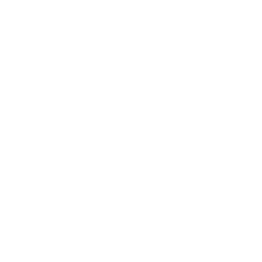 Developer Partner Logo 12