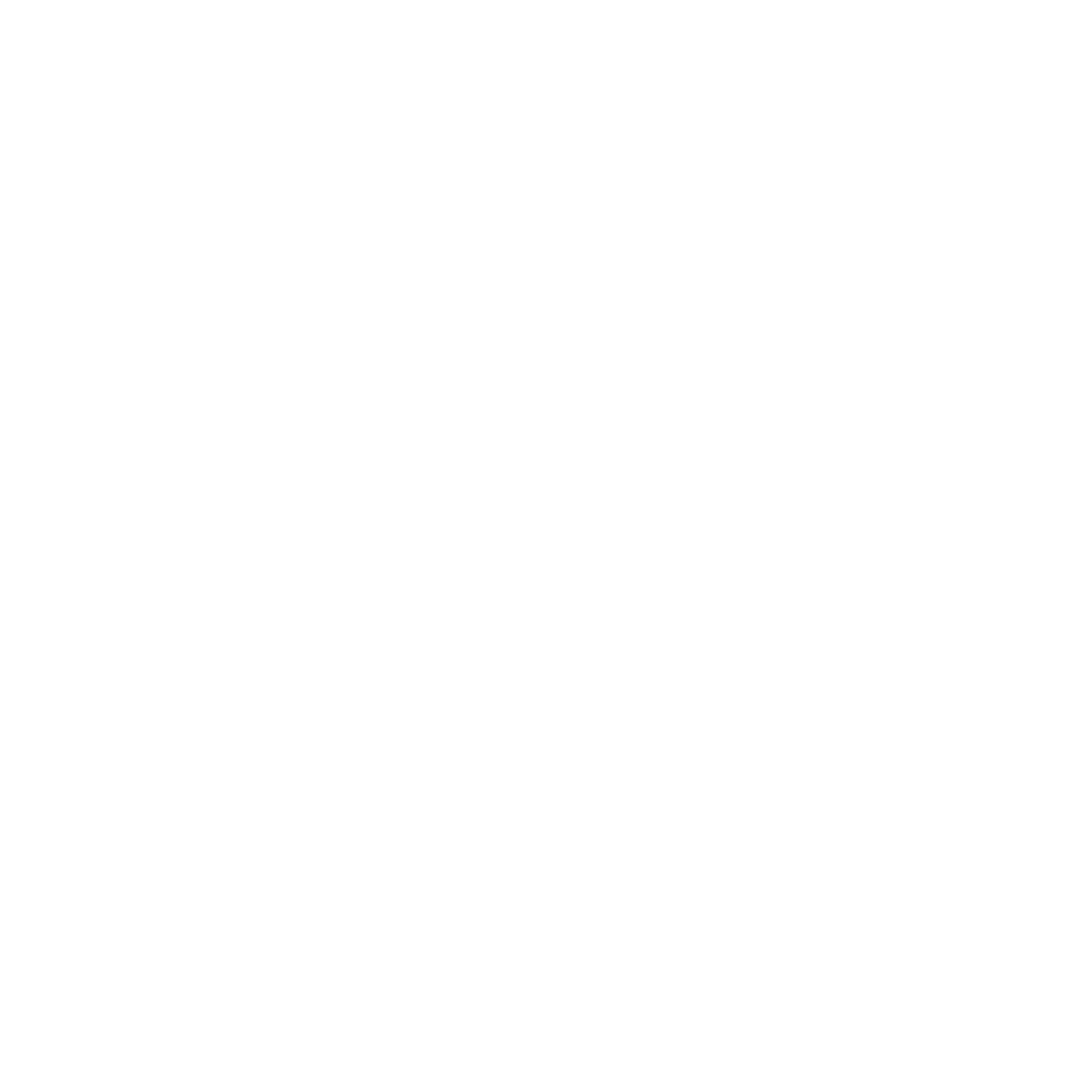 Developer Partner Logo 12