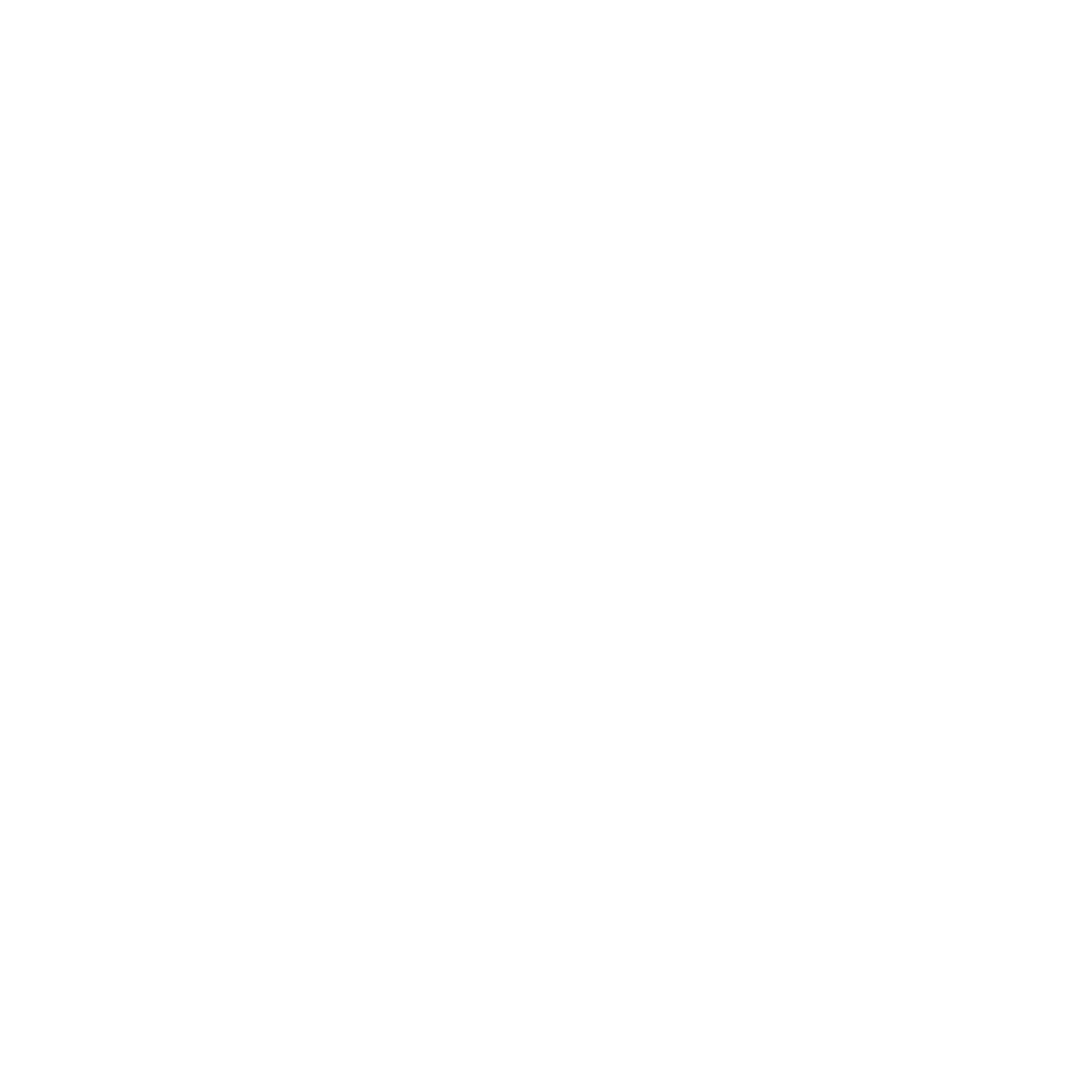 Developer Partner Logo 13