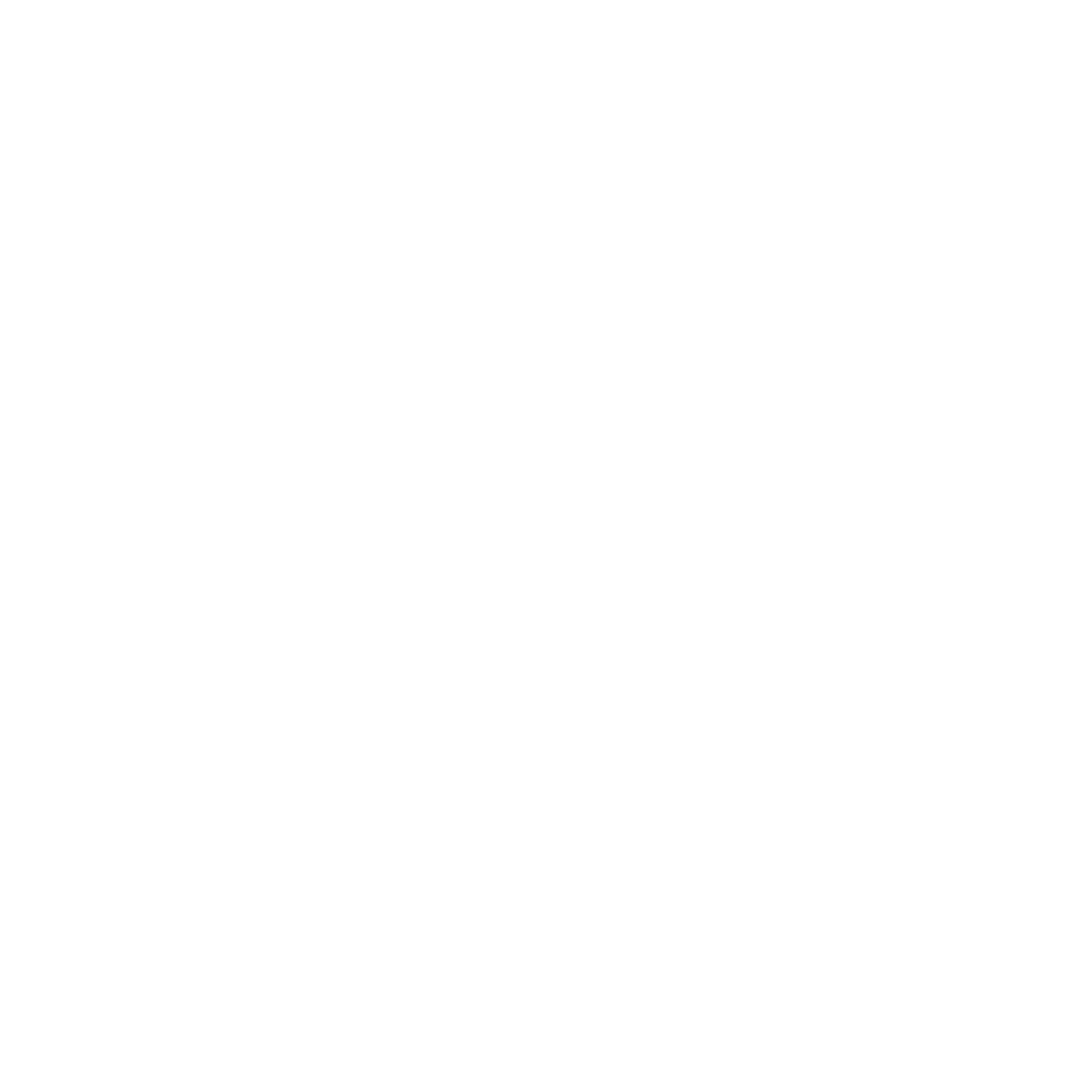 Developer Partner Logo 9